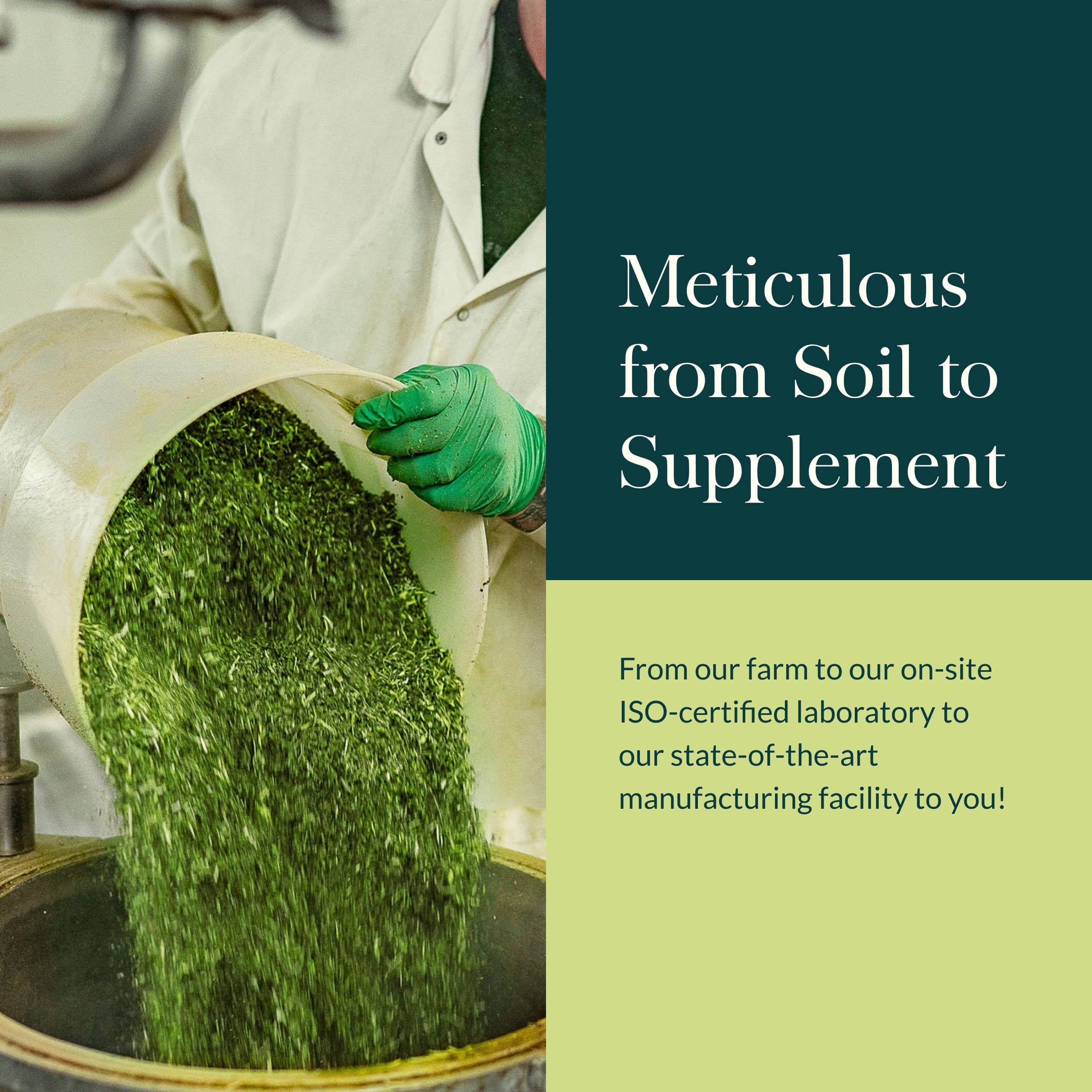 Organic Sleep Gummies, 40 CT