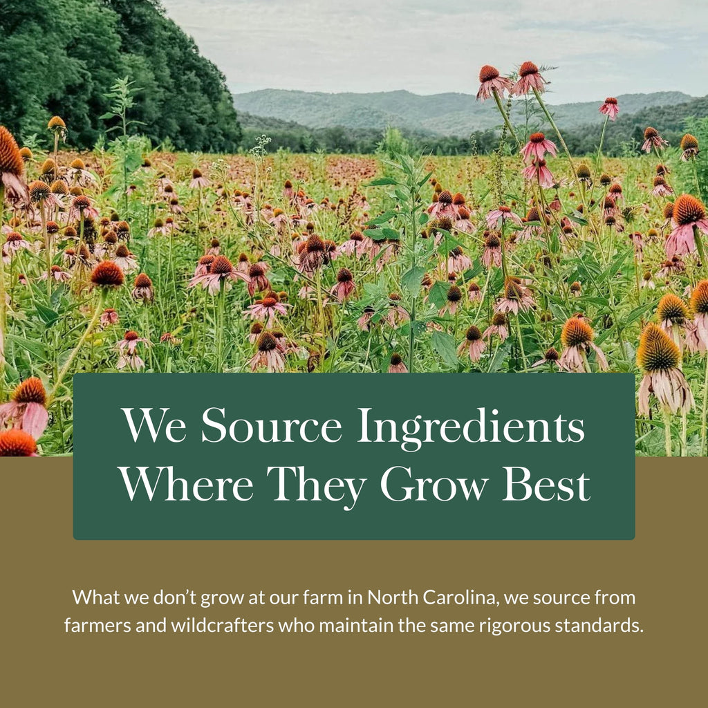 Organic Sleep Gummies, 40 CT